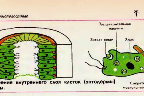 Kraken официальная ссылка