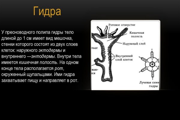 Кракен новое зеркало