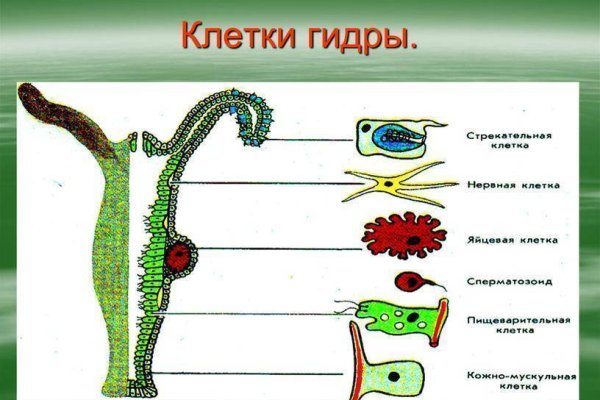 Kraken ссылка зеркало рабочее