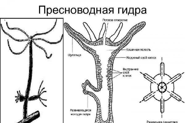Кракен маркер даркнет